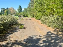  Terreno (Parcela) en venta en Chile, Pemuco, Diguillín, Ñuble, Chile