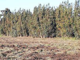 Land for sale in Chile, Buin, Maipo, Santiago, Chile