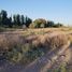  Land for sale in Guaymallen, Mendoza, Guaymallen