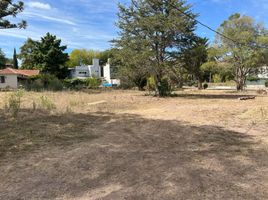  Land for sale in La Plata, Buenos Aires, La Plata