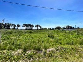  Terreno (Parcela) en venta en La Plata, Buenos Aires, La Plata