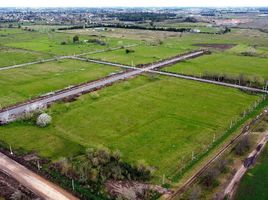  Land for sale in La Plata, Buenos Aires, La Plata