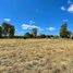  Land for sale in Chile, Temuco, Cautin, Araucania, Chile