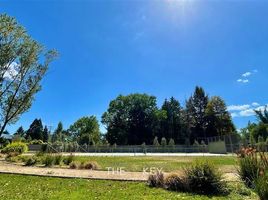  Land for sale in Chile, Temuco, Cautin, Araucania, Chile