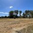  Land for sale in Chile, Temuco, Cautin, Araucania, Chile