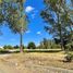  Land for sale in Chile, Temuco, Cautin, Araucania, Chile