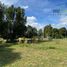  Land for sale in Chile, Puerto Montt, Llanquihue, Los Lagos, Chile