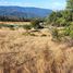  Terreno (Parcela) en venta en Loncoche, Cautín, Loncoche