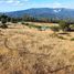  Terreno (Parcela) en venta en Loncoche, Cautín, Loncoche
