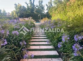 3 Habitación Departamento en alquiler en San Jode de Maipo, Cordillera, San Jode de Maipo