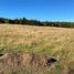  Land for sale in Chile, Puerto Montt, Llanquihue, Los Lagos, Chile