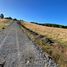  Land for sale in Chile, Puerto Montt, Llanquihue, Los Lagos, Chile