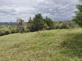  Land for sale in El Carmen De Viboral, Antioquia, El Carmen De Viboral