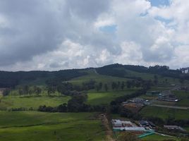  Terrain for sale in Envigado, Antioquia, Envigado