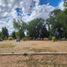  Land for sale in Neuquen, Confluencia, Neuquen