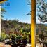 4 Habitación Villa en venta en Dist Pochutla, Oaxaca, Dist Pochutla