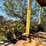 4 Habitación Villa en venta en Dist Pochutla, Oaxaca, Dist Pochutla