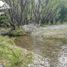  Land for sale in Cushamen Chubut, Cushamen