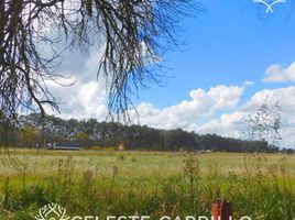  Land for sale in Exaltacion De La Cruz, Buenos Aires, Exaltacion De La Cruz