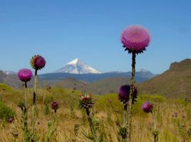  Terreno (Parcela) en venta en Catan Lil, Neuquen, Catan Lil