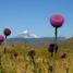  Land for sale in Catan Lil, Neuquen, Catan Lil