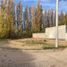  Land for sale in Neuquen, Confluencia, Neuquen