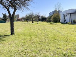  Land for sale in Colon, Entre Rios, Colon