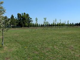  Land for sale in La Plata, Buenos Aires, La Plata