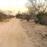 在Baja California Sur出租的 土地, La Paz, Baja California Sur