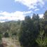  Grundstück zu verkaufen in Bariloche, Rio Negro, Bariloche