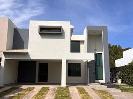 在墨西哥出租的 别墅, Zapopan, Jalisco, 墨西哥