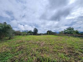  Terreno (Parcela) en venta en Pereira, Risaralda, Pereira