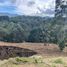  Land for sale in Rionegro, Antioquia, Rionegro