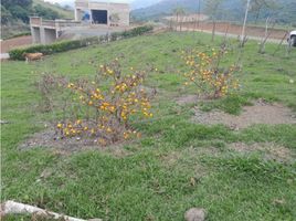  Terreno (Parcela) en venta en Palmira, Valle Del Cauca, Palmira