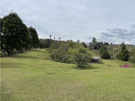 3 Habitación Casa en venta en Guarne, Antioquia, Guarne