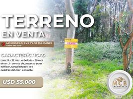  Grundstück zu verkaufen in La Costa, Buenos Aires, La Costa