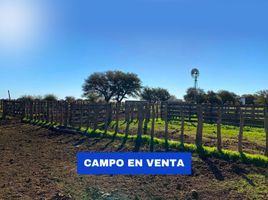  Terreno (Parcela) en venta en Conhelo, La Pampa, Conhelo