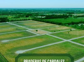  Grundstück zu verkaufen in Campana, Buenos Aires, Campana