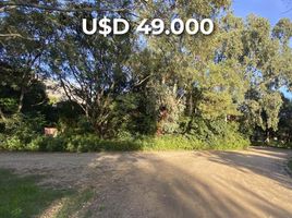  Land for sale in Junin, San Luis, Junin