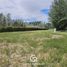  Land for sale in Confluencia, Neuquen, Confluencia