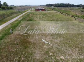  Land for sale in San Vicente, Buenos Aires, San Vicente