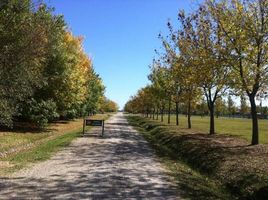  Terreno (Parcela) en venta en San Vicente, Buenos Aires, San Vicente