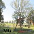  Land for sale in San Vicente, Buenos Aires, San Vicente