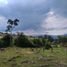 Terrain à vendre à La Mesa, Cundinamarca, La Mesa