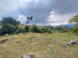 Terrain à vendre à La Mesa, Cundinamarca, La Mesa