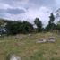 Terrain à vendre à La Mesa, Cundinamarca, La Mesa