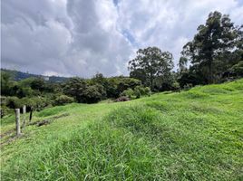  Terreno (Parcela) en venta en Caldas, Manizales, Caldas