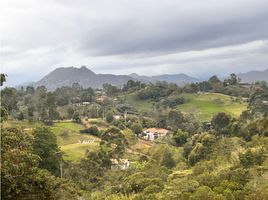  Land for sale in El Carmen De Viboral, Antioquia, El Carmen De Viboral