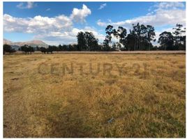  Terreno (Parcela) en venta en Cajamarca, Cajamarca, Cajamarca, Cajamarca