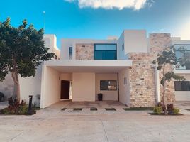 Maison 3 chambre à louer à Merida, Yucatan, Merida